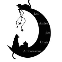 Logo Les Amies des Chats Ambaresiens